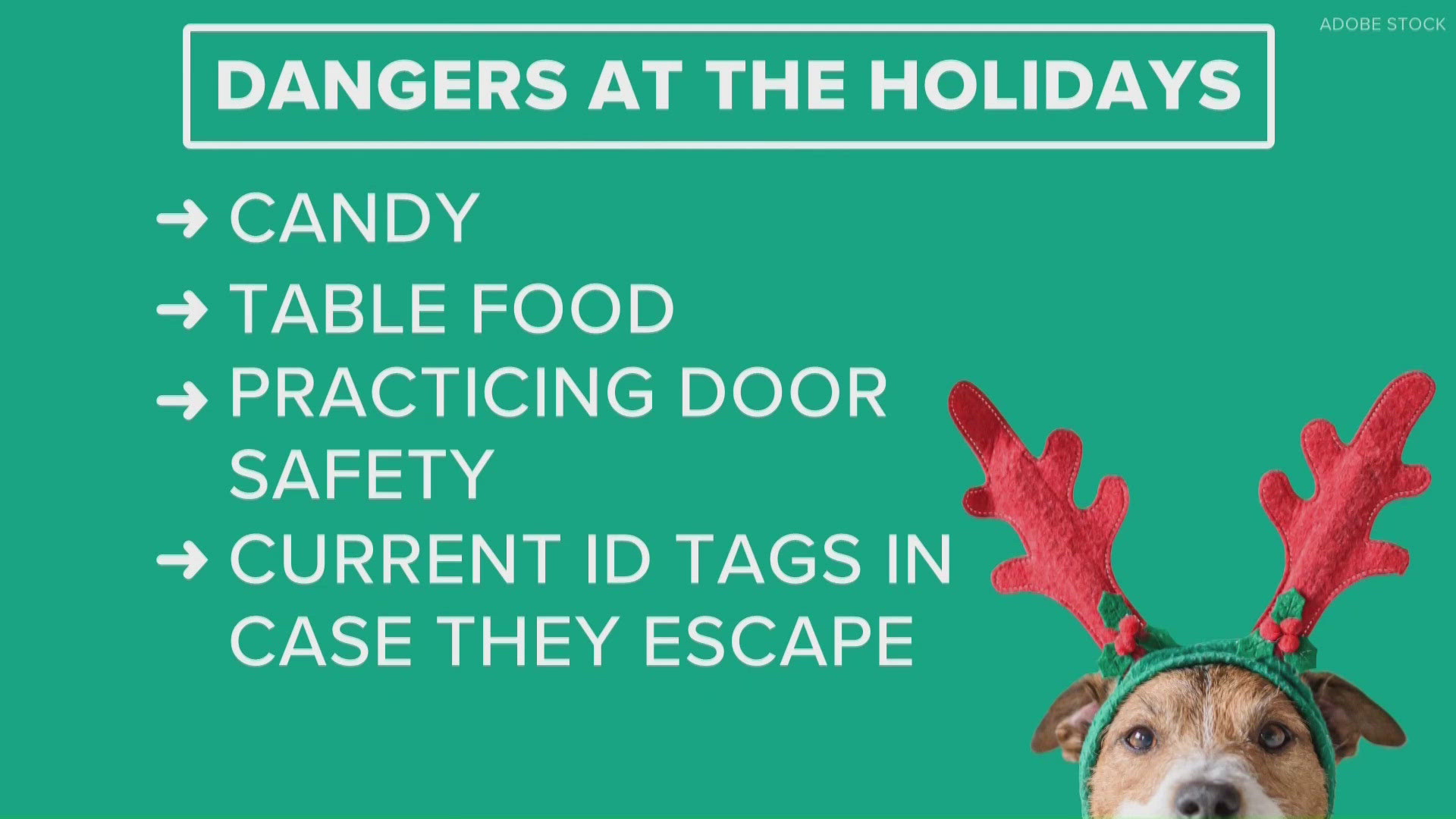 Tips to keep pets safe during holidays | 2 Wants to Know