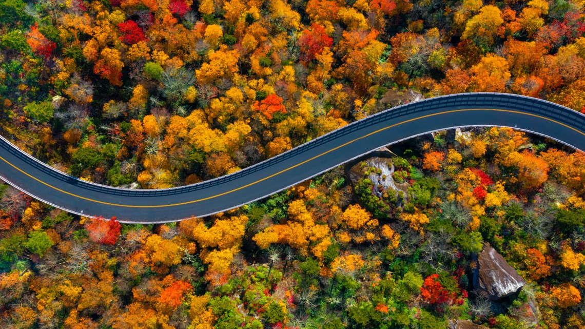 8 miles of Blue Ridge Parkway closed for this reason - Vimarsana News