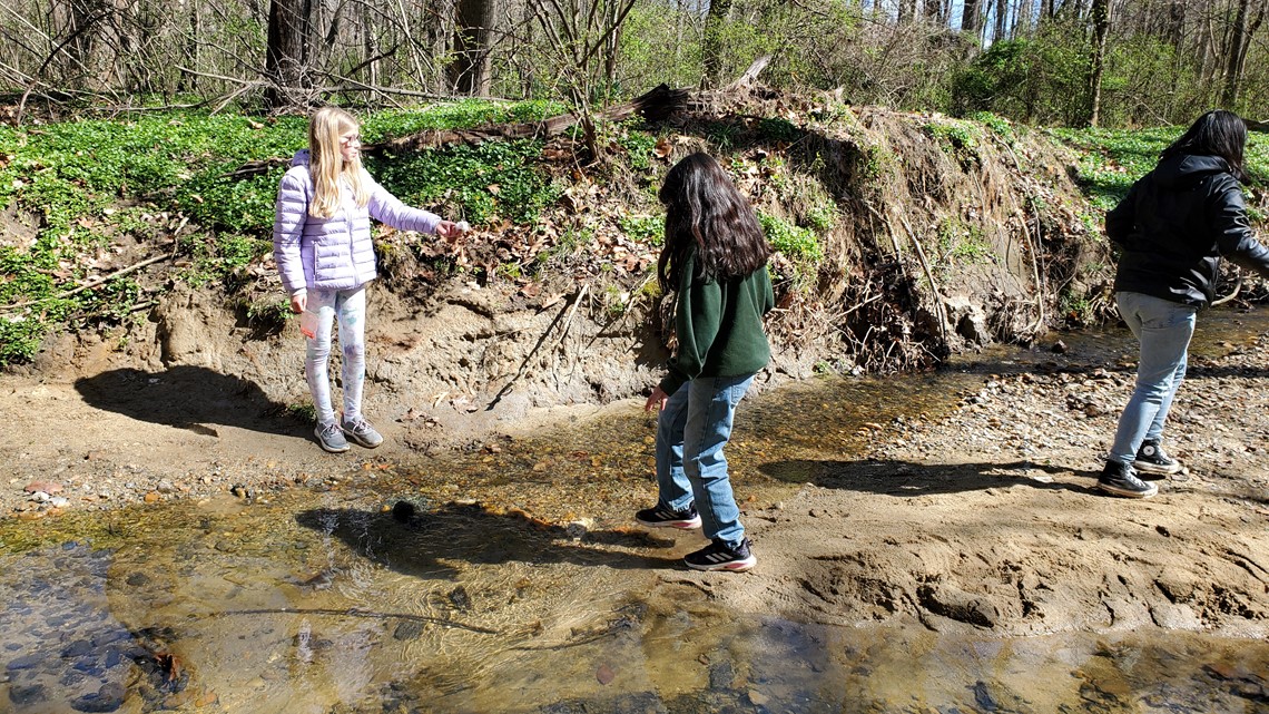 Learning about nature through science - Vimarsana News