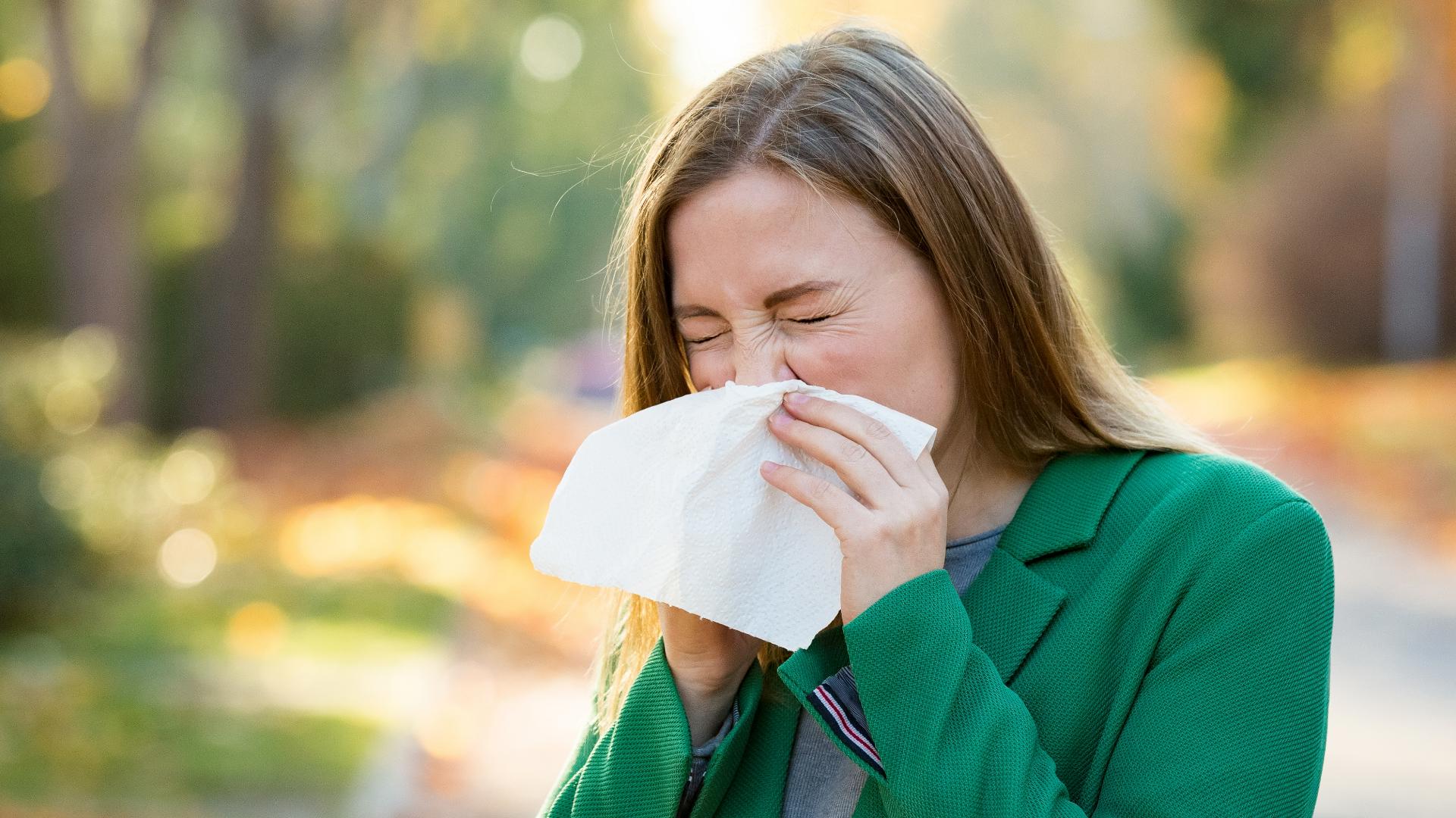 Cone Health talks about how to manage fall allergy symptoms.