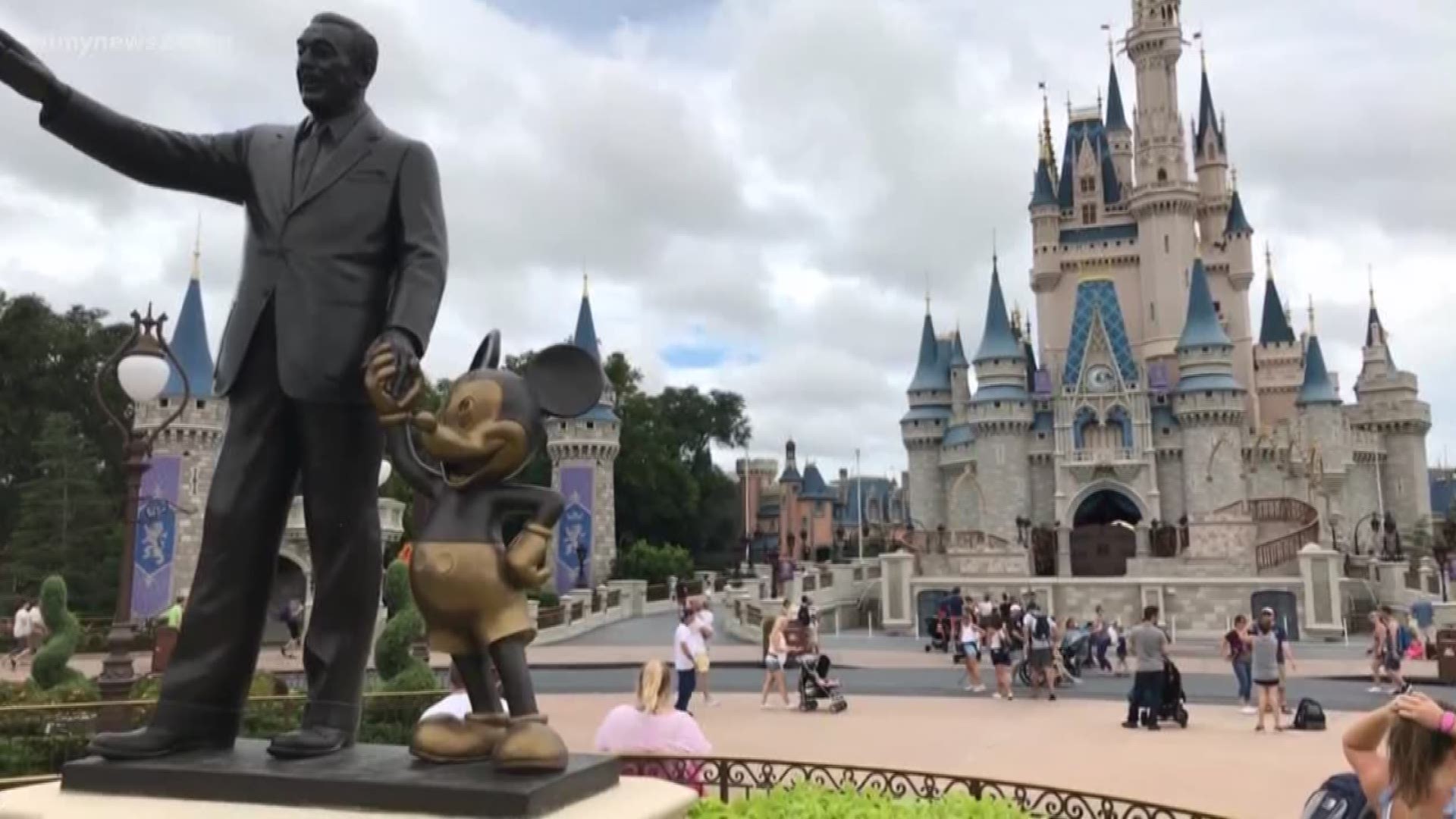 After a trip to Orlando, Florida-based Disney World, one angry mother took to Facebook to vent her frustration with childless millennials.