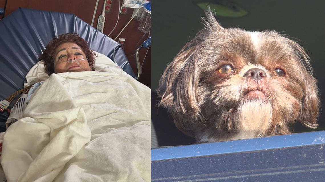 Greensboro woman and her small dog attacked by another dog – WFMYNews2.com