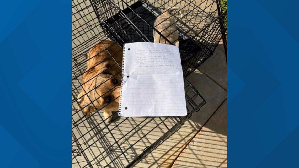 Two dogs left sitting outside animal shelter with a note | wfmynews2.com