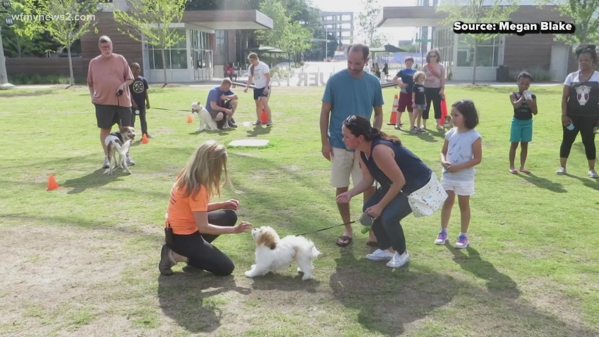 Megan Blake has captured national attention with her dog training techniques.