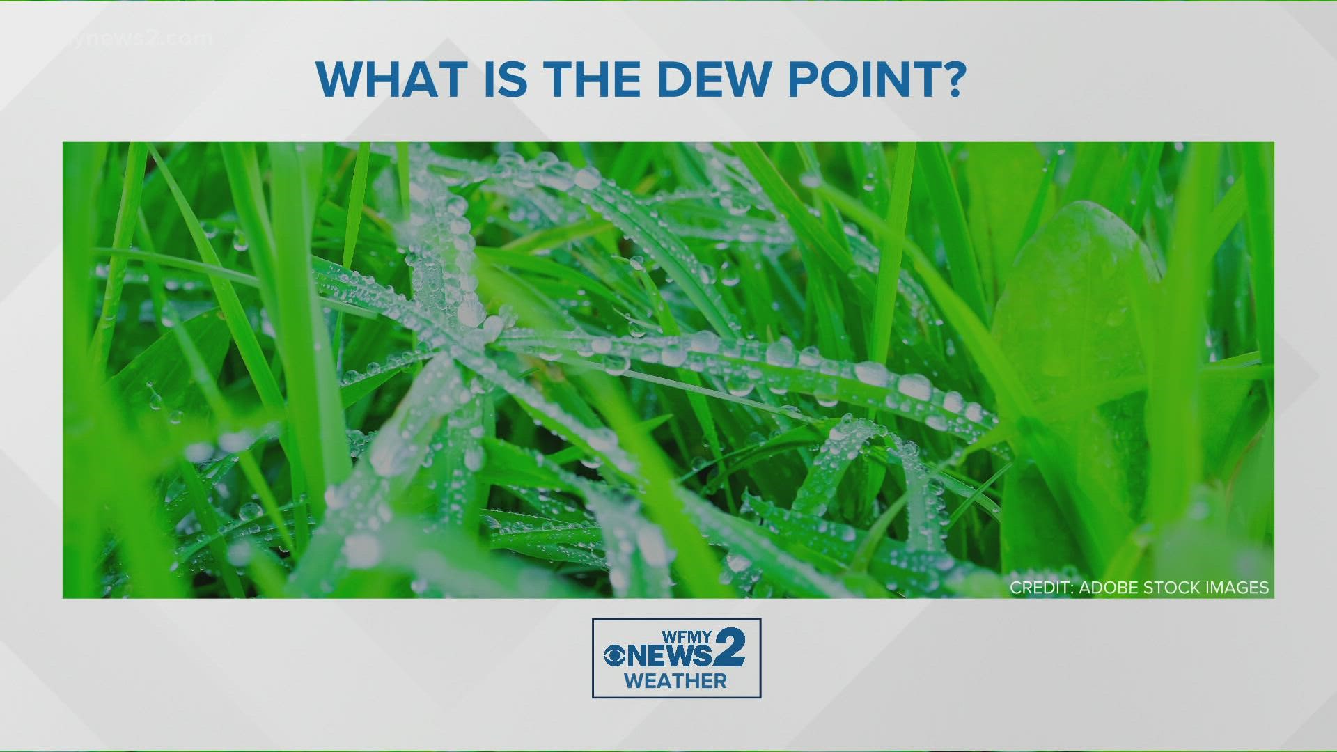 Five-year-old Josiah wanted to VERIFY the difference between a dew point and morning dew. Turns out, they’re related.