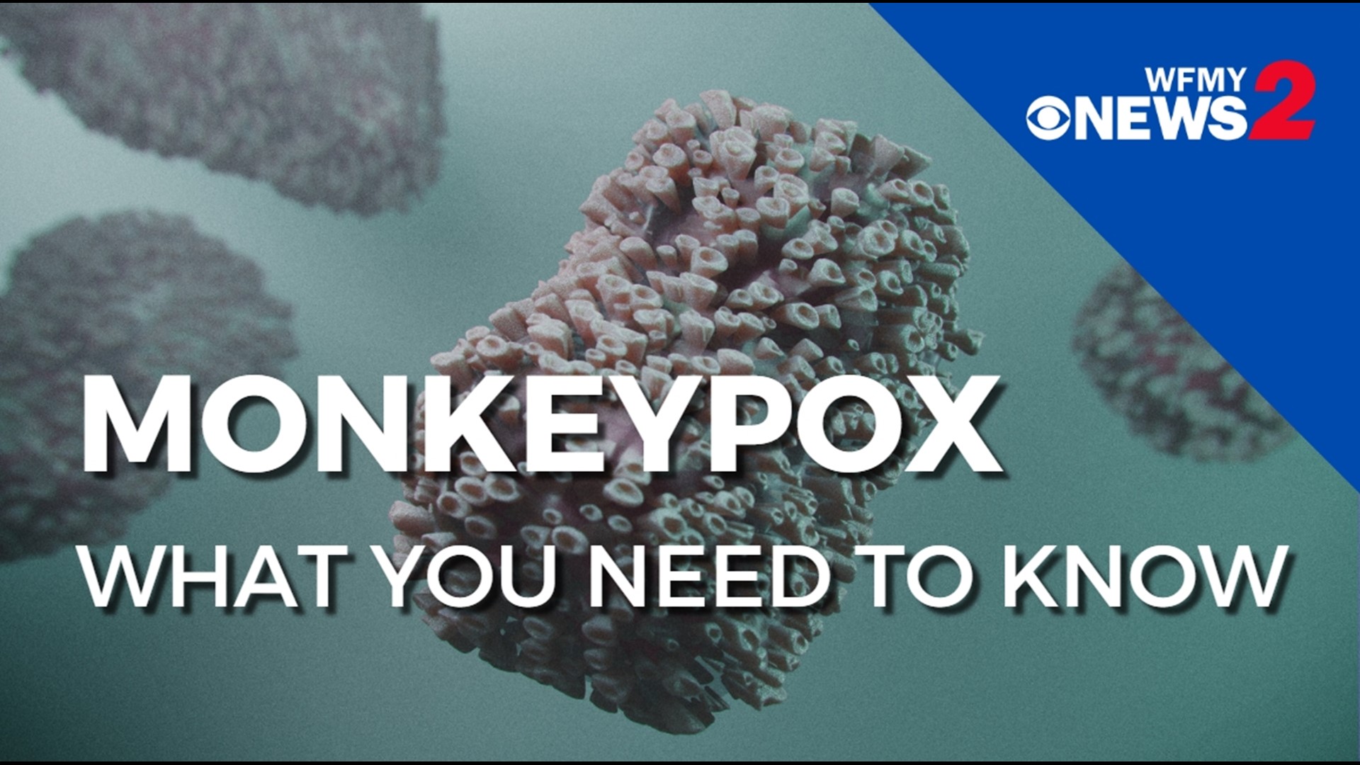 You’ve probably heard a lot about monkeypox lately. How concerned should we be?  What’s true?  What’s not? A Cone Health expert talks about what you need to know.