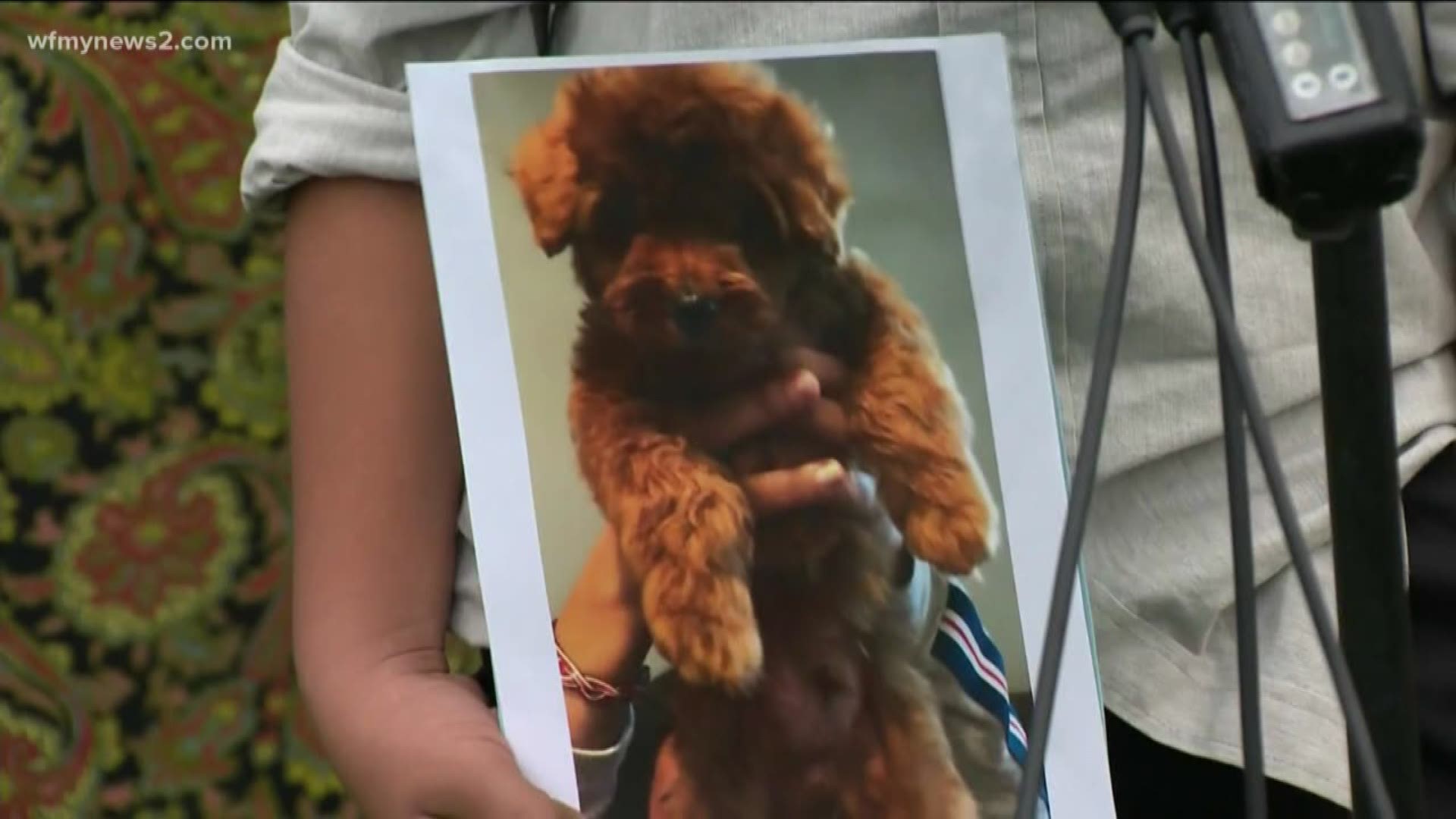 Attorneys filed a lawsuit against a family claiming they were illegally breeding, dying, and selling sick puppies.