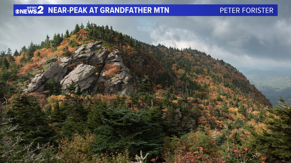 Fall Color Popping in NC; Locations, Places to Visit, Foliage - Vimarsana News