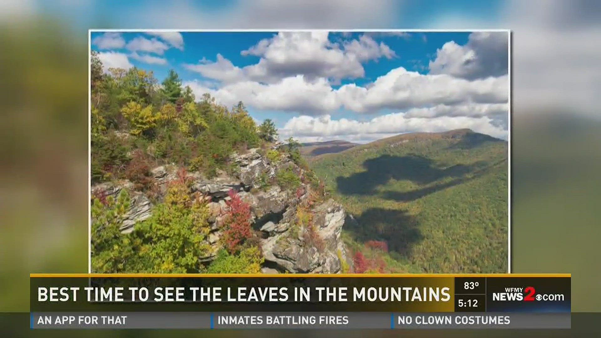 When To See The Leaves In NC Mountains