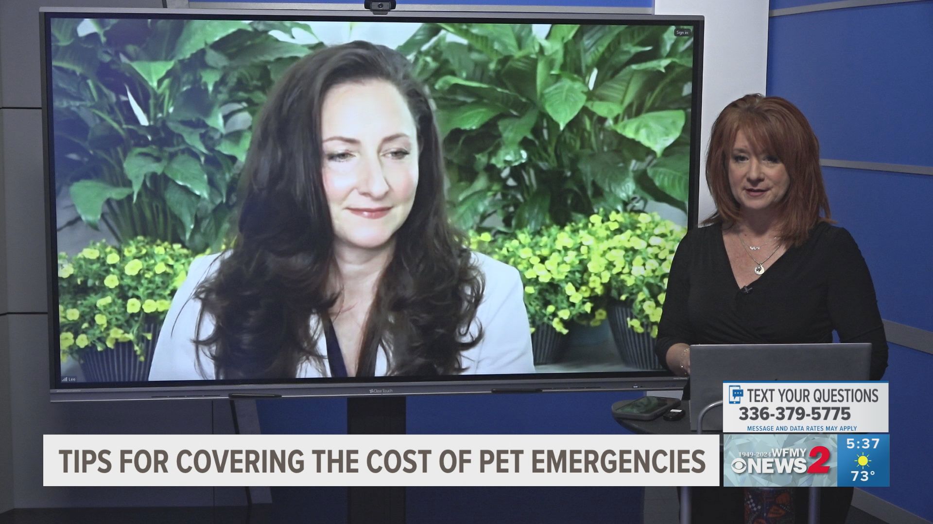 Emergency care for pets can be costly but there are steps you can take to lower your bill later.