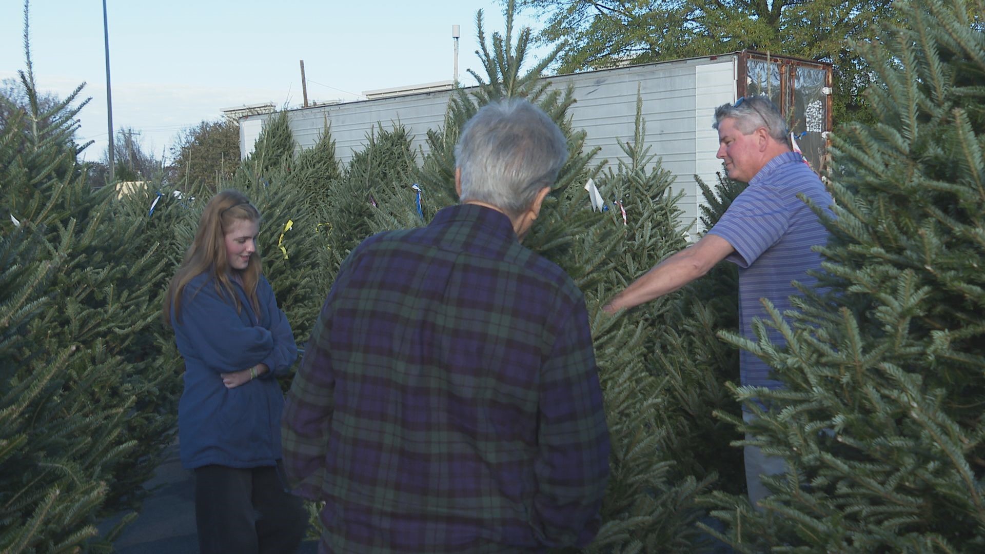 Fred & Dot's Christmas Trees has been in business in the Triad for 35 years.