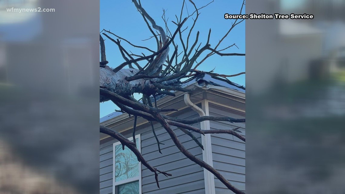 Heavy winds uproot trees across the Triad - Vimarsana News