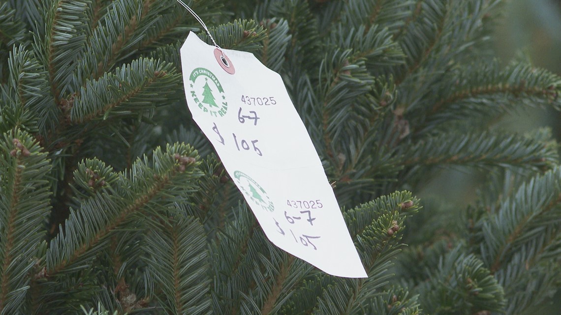 Christmas tree prices up 10 this year