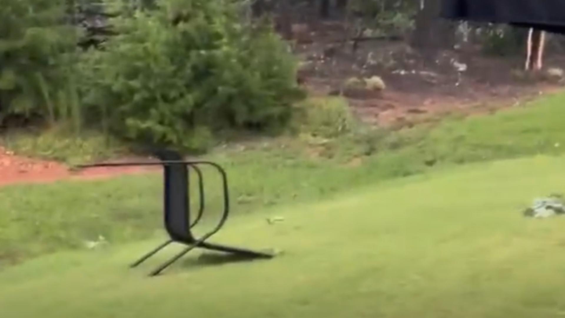 Tornadoes Confirmed in Alamance County Amid Tropical Storm | wfmynews2.com