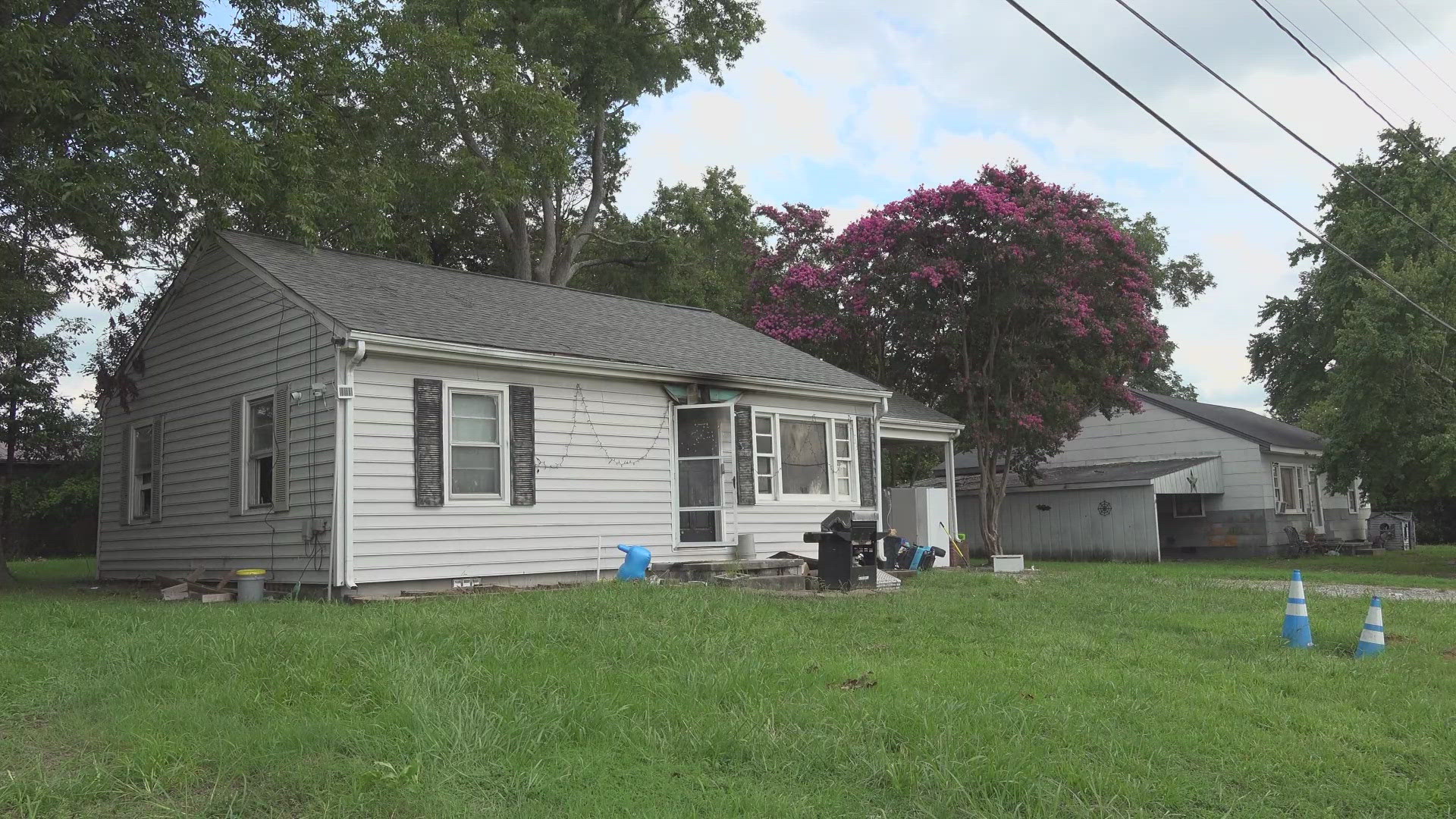 Several of the family's animals died from the fire.