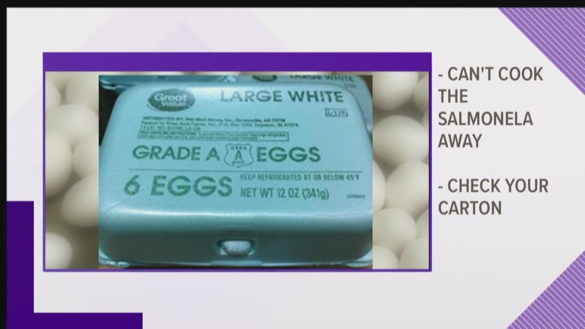 Salmonella Stats