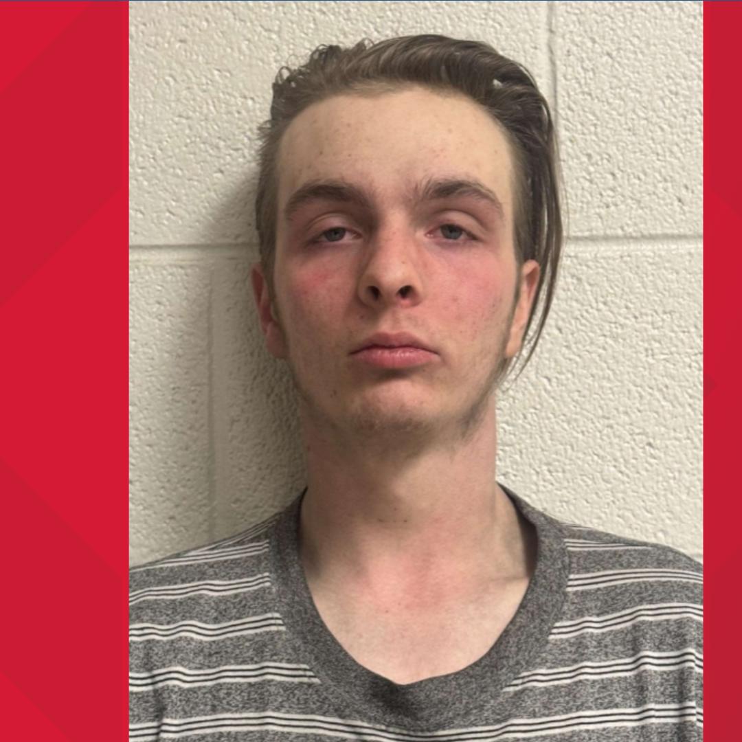 Police arrest 19-year-old after crash, shooting on US 421 in ...