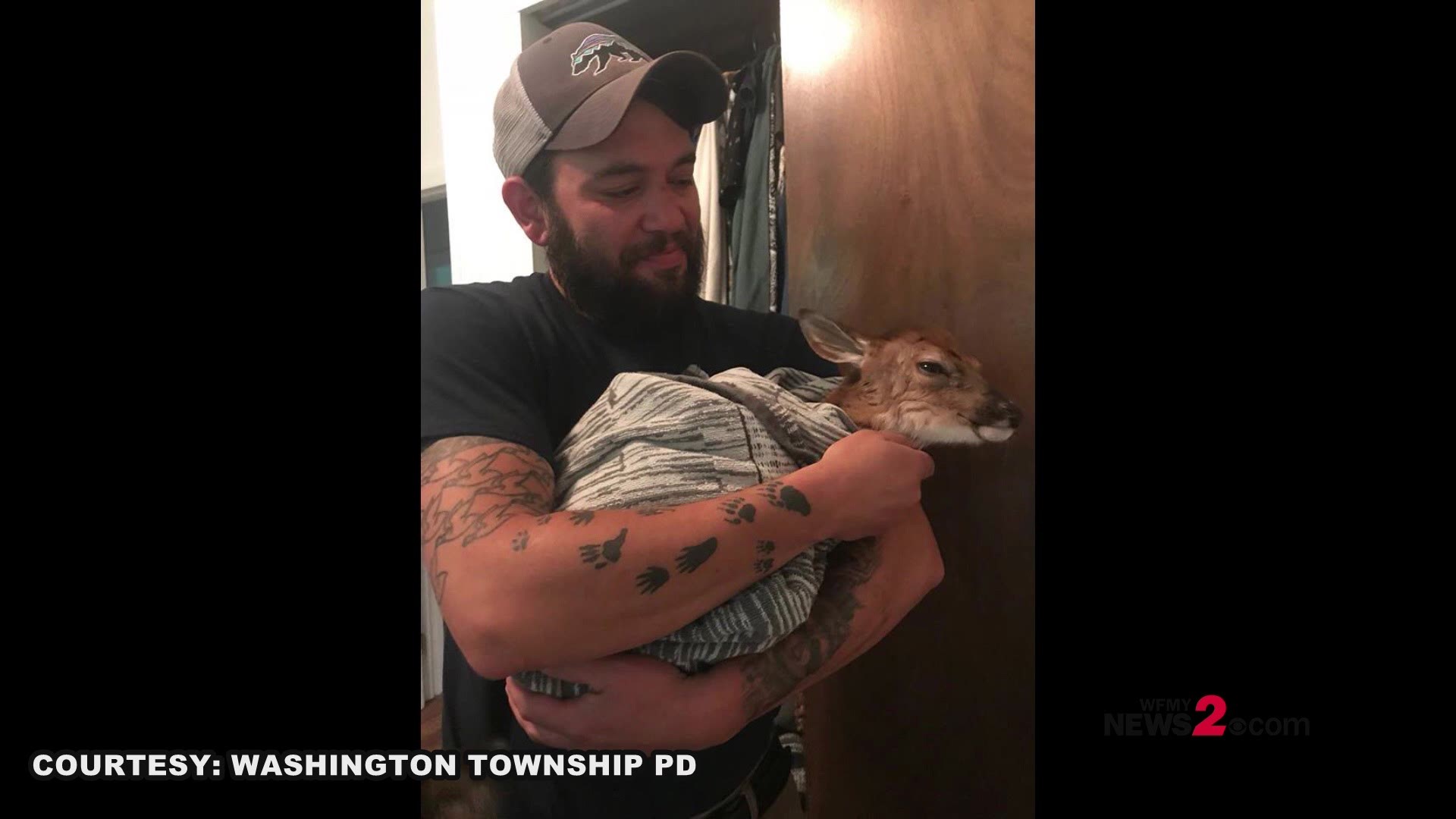 Police Officer Delivers Fawn During Roadside C-Section