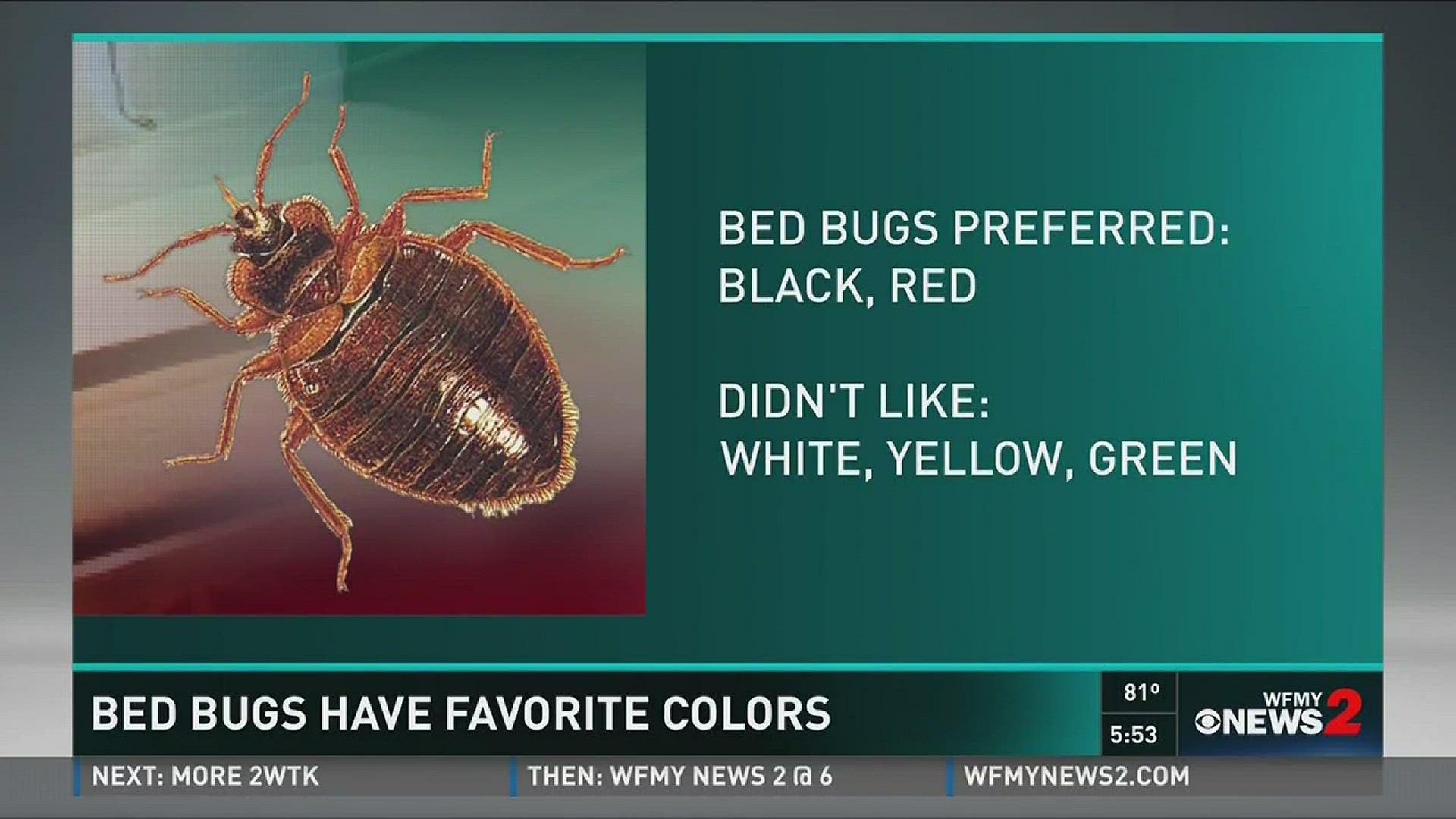 The Color Of Your Luggage Attracts Bed Bugs