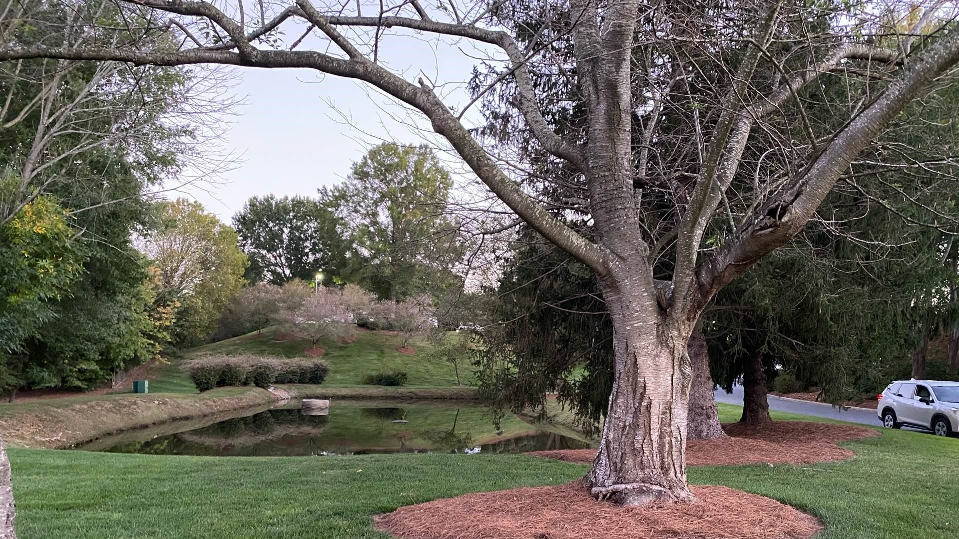 Body found near Greensboro hotel during water rescue