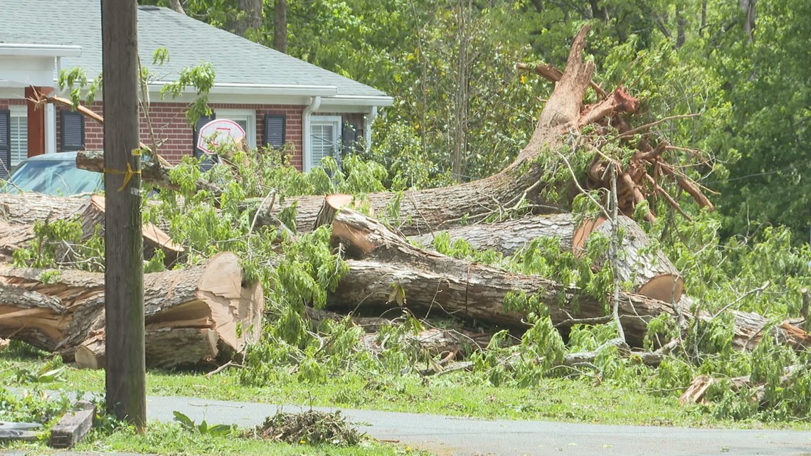 Elkin begins to pick up after a storm's path of destruction - Vimarsana News