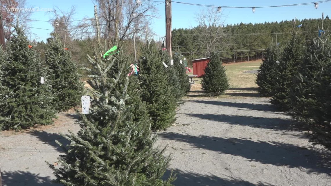 Christmas tree farmers say don't wait to by your tree this year ...