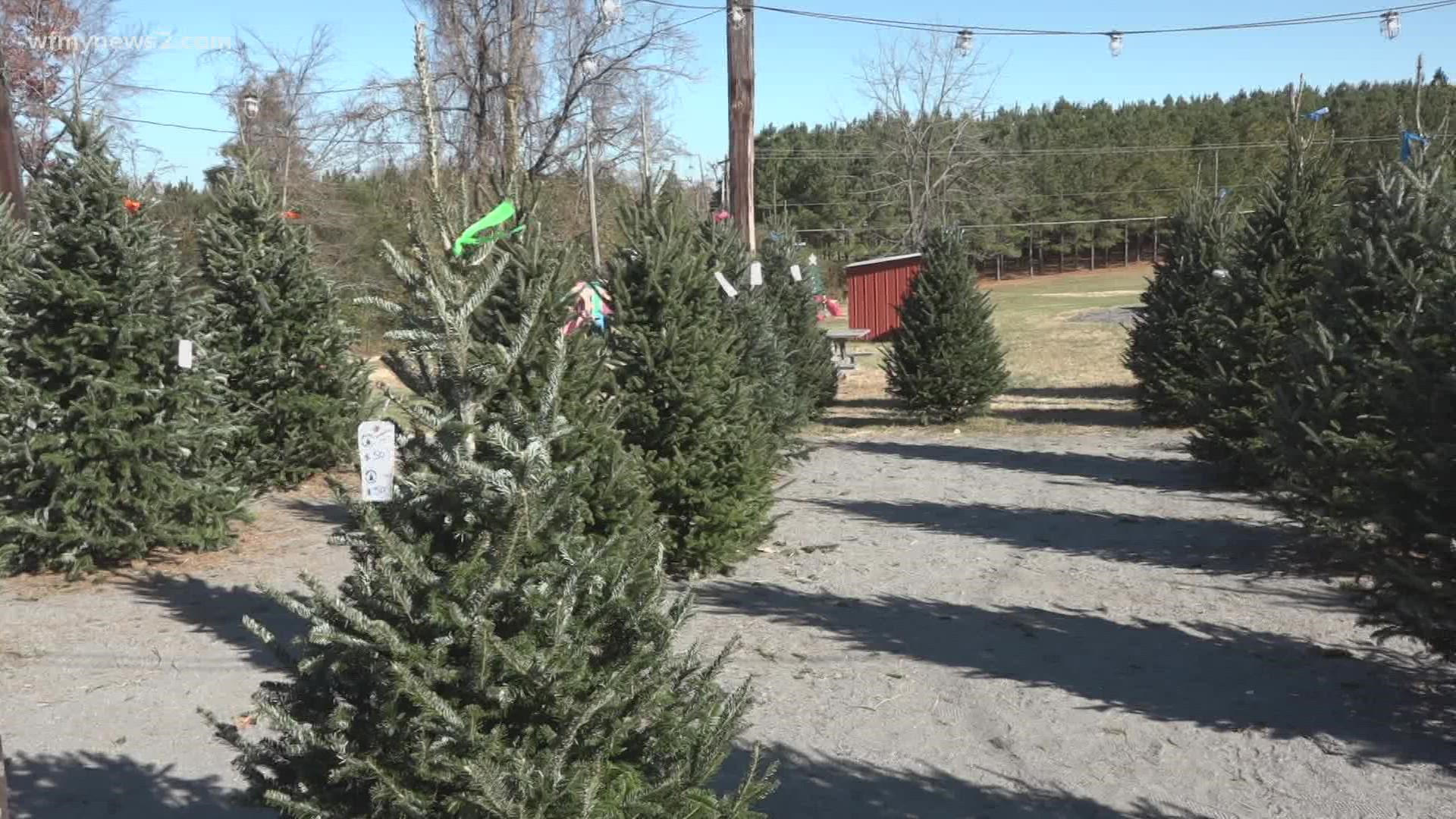 If you want a specific Christmas tree, farmers and sellers say don't wait until the last minute.