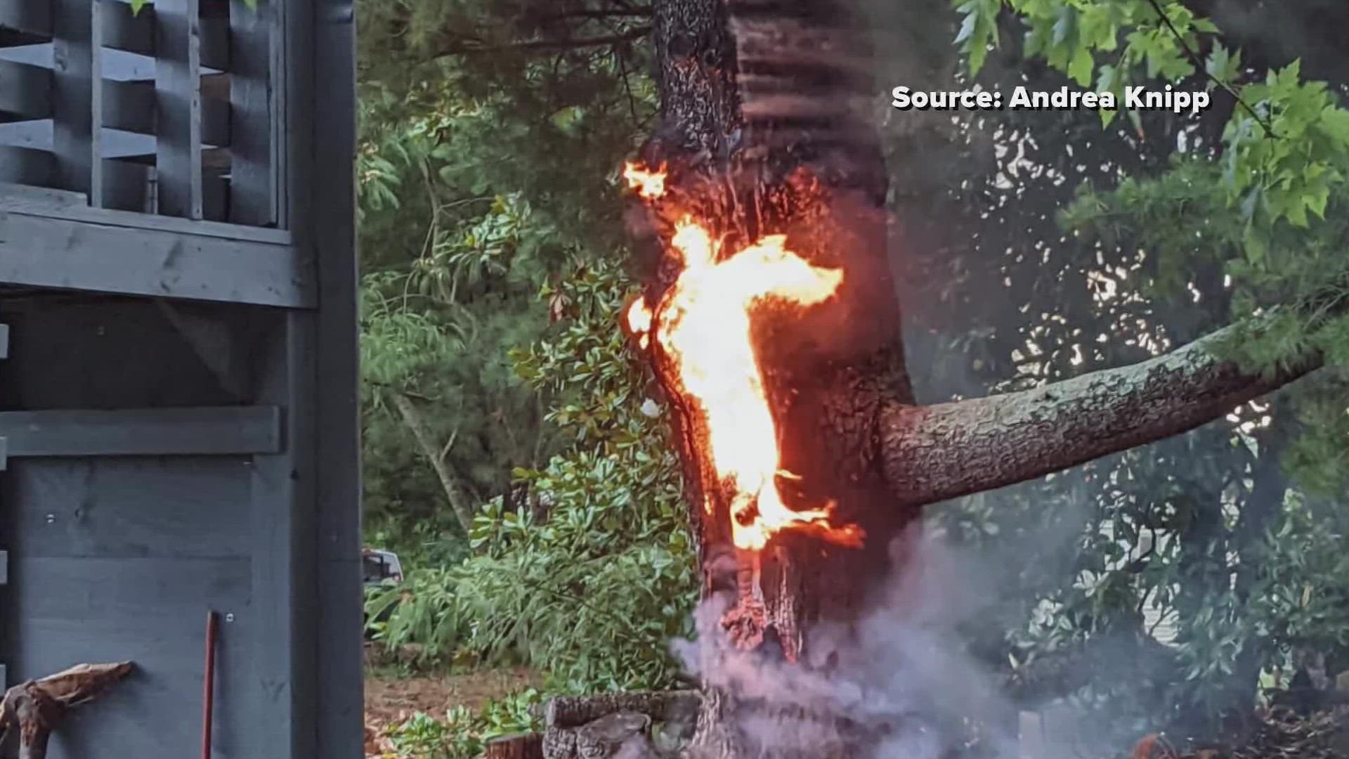 The family wasn't at home when a lightning strike started a fire in their yard.