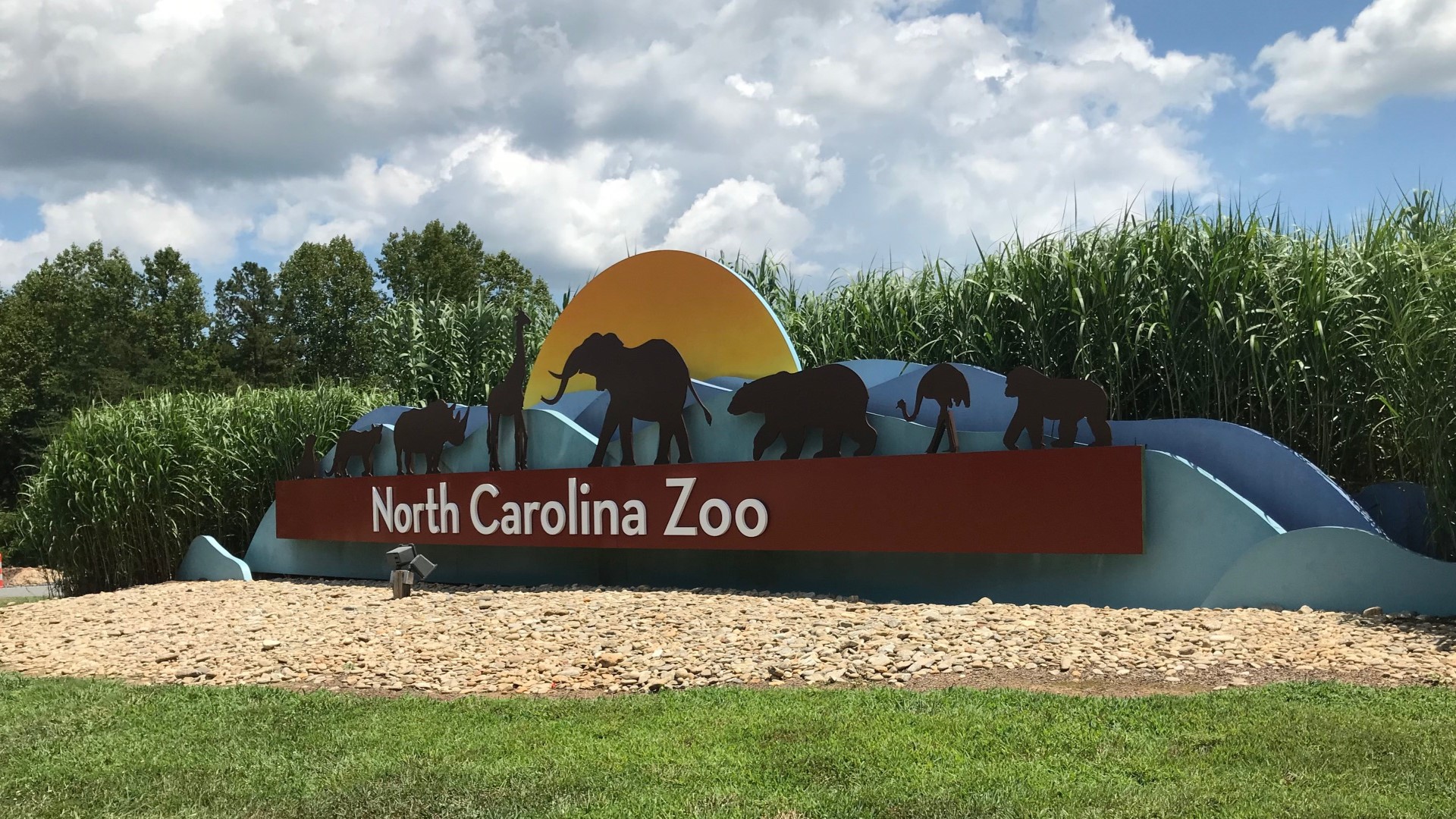 Pat Simmons, North Carolina Zoo Director gives more information about the death of a trained arborist during a rescue drill training accident.
