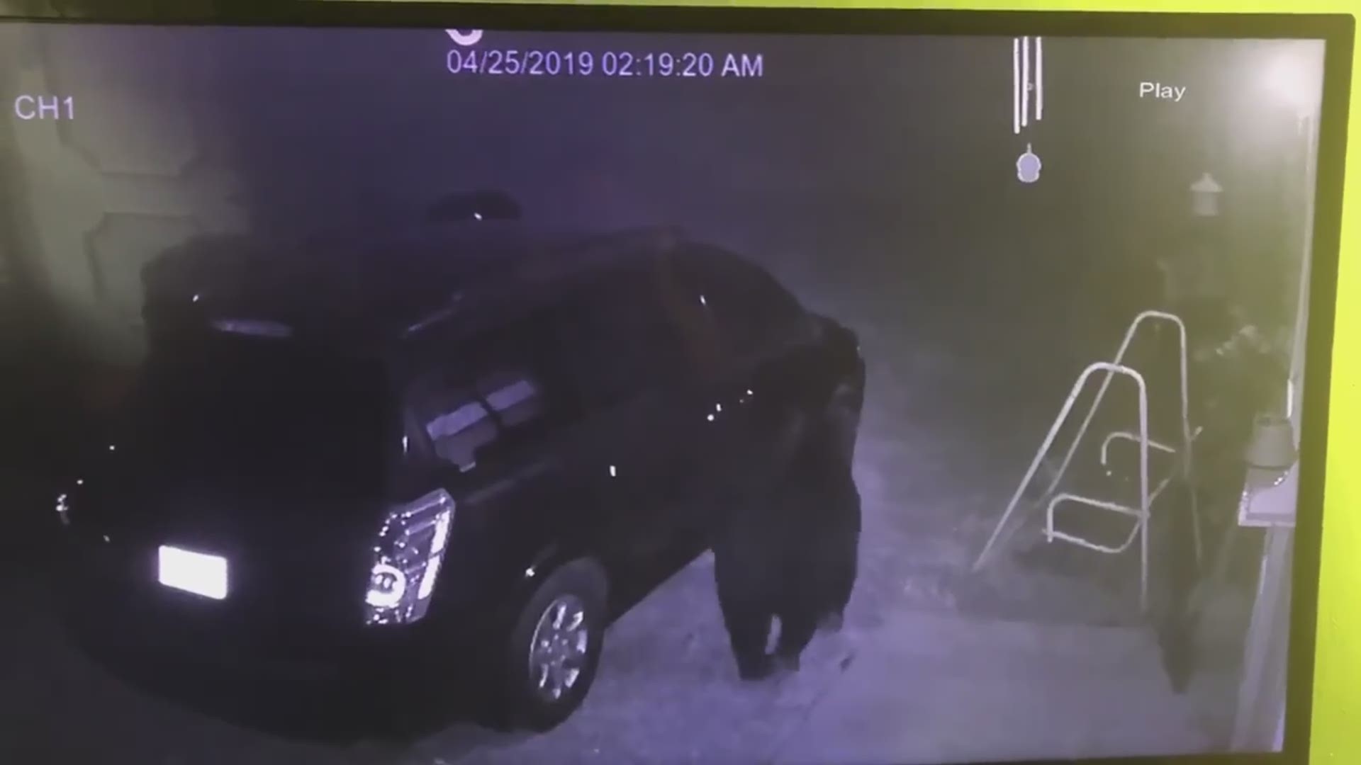 Oh bear. Surveillance footage shows a bear opening a woman's car, climb right in, takes food and walks away like it was a job.