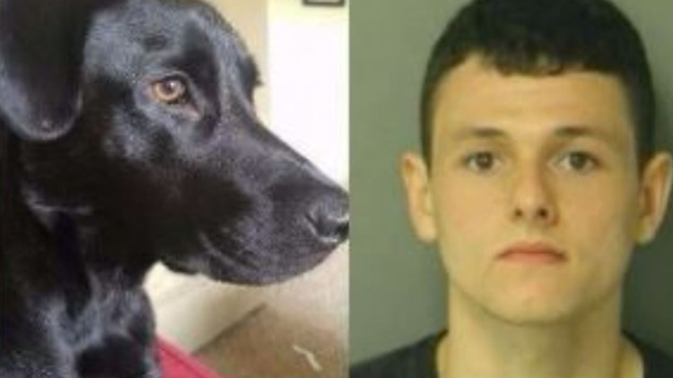 2 charged with torturing, beating, drowning dog in North Carolina