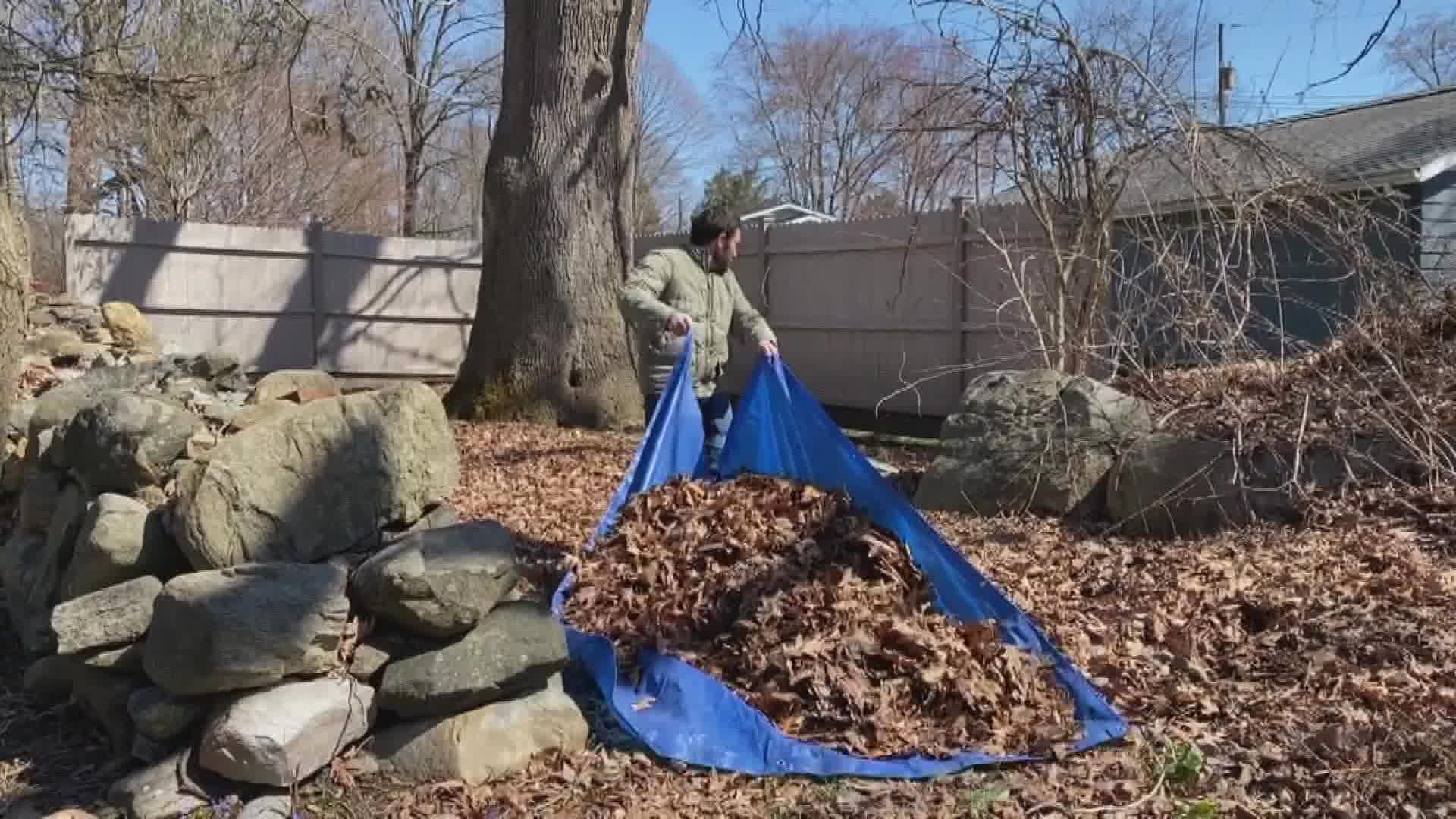 Consumer Reports says blowing the leaves is easiest and quickest. If you need to rake, a tarp will be the key.