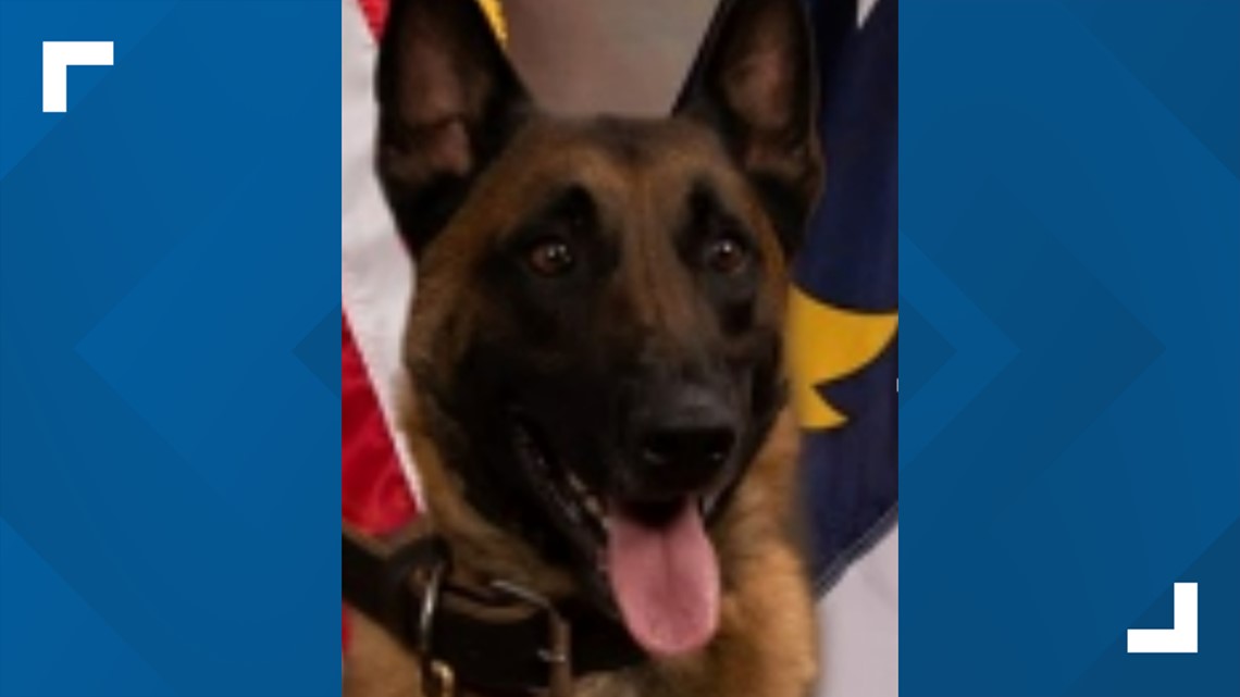 Gibsonville Police Dept. K9 Colt retires