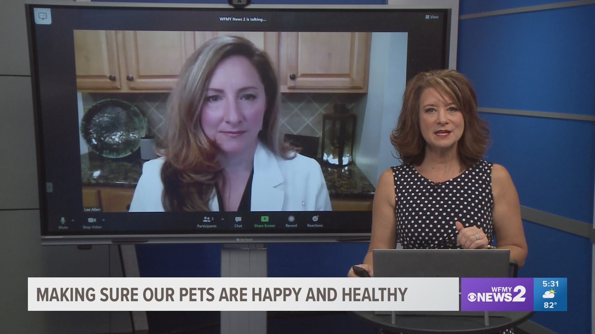 Dr. Kelley Gebhardt answers questions about keeping pets safe in the summer heat.