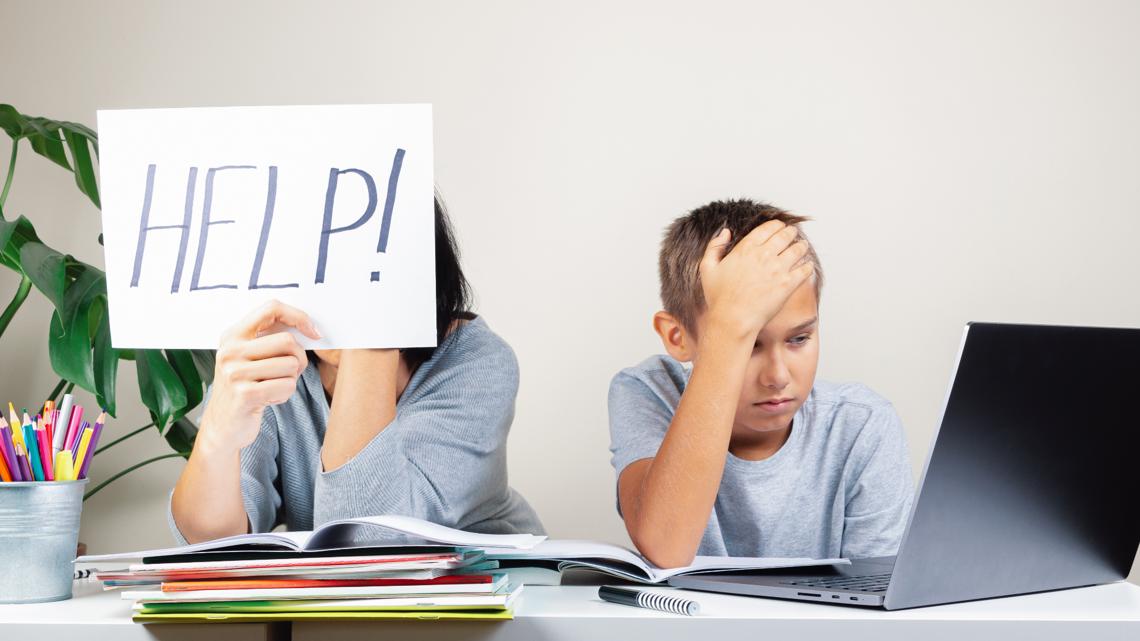 The homework debate. How much is too much? | wfmynews2.com