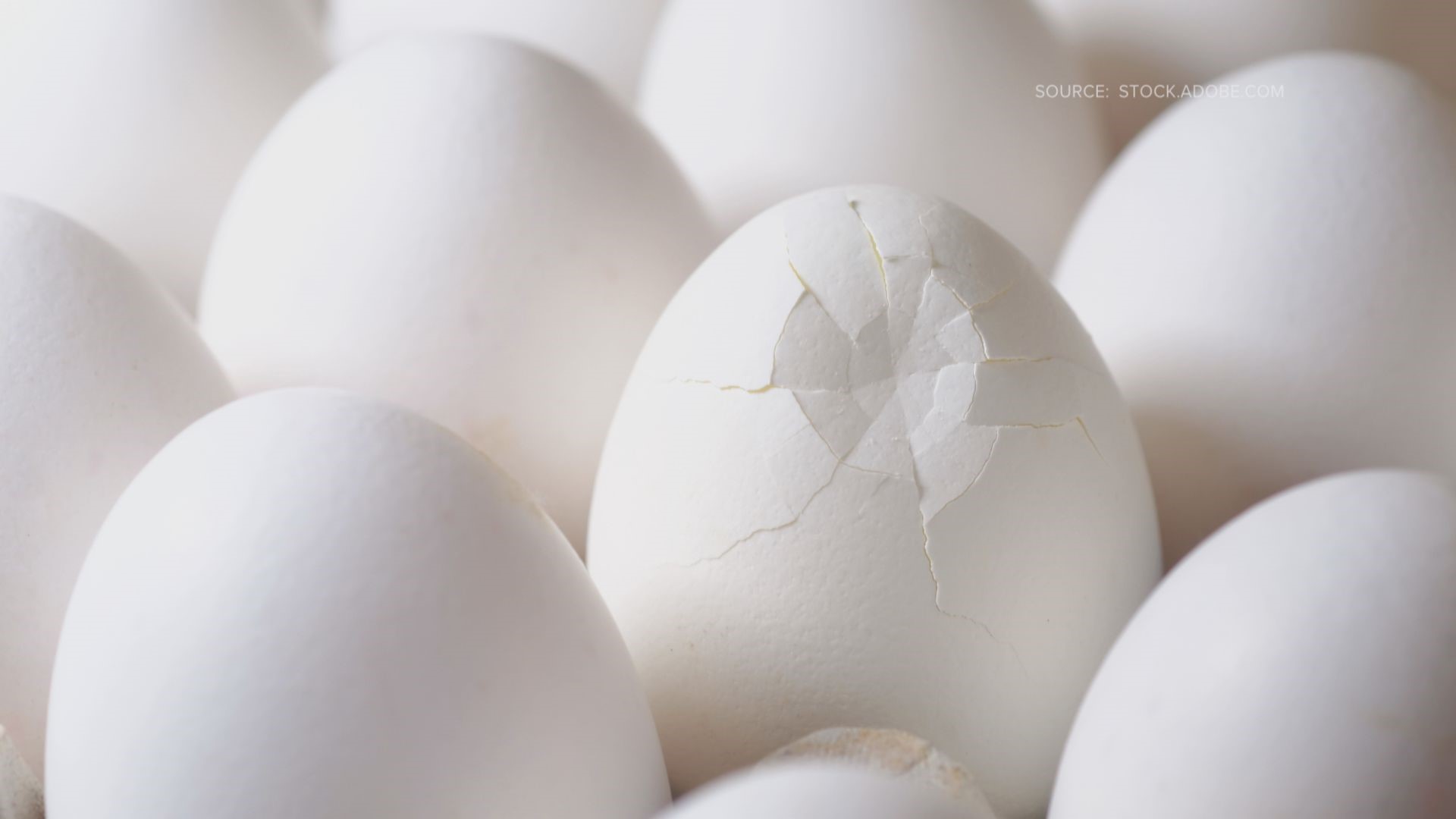 The Egg Cracking Challenge has gone viral on TikTok, as parents record themselves cracking eggs on their kids’ foreheads.