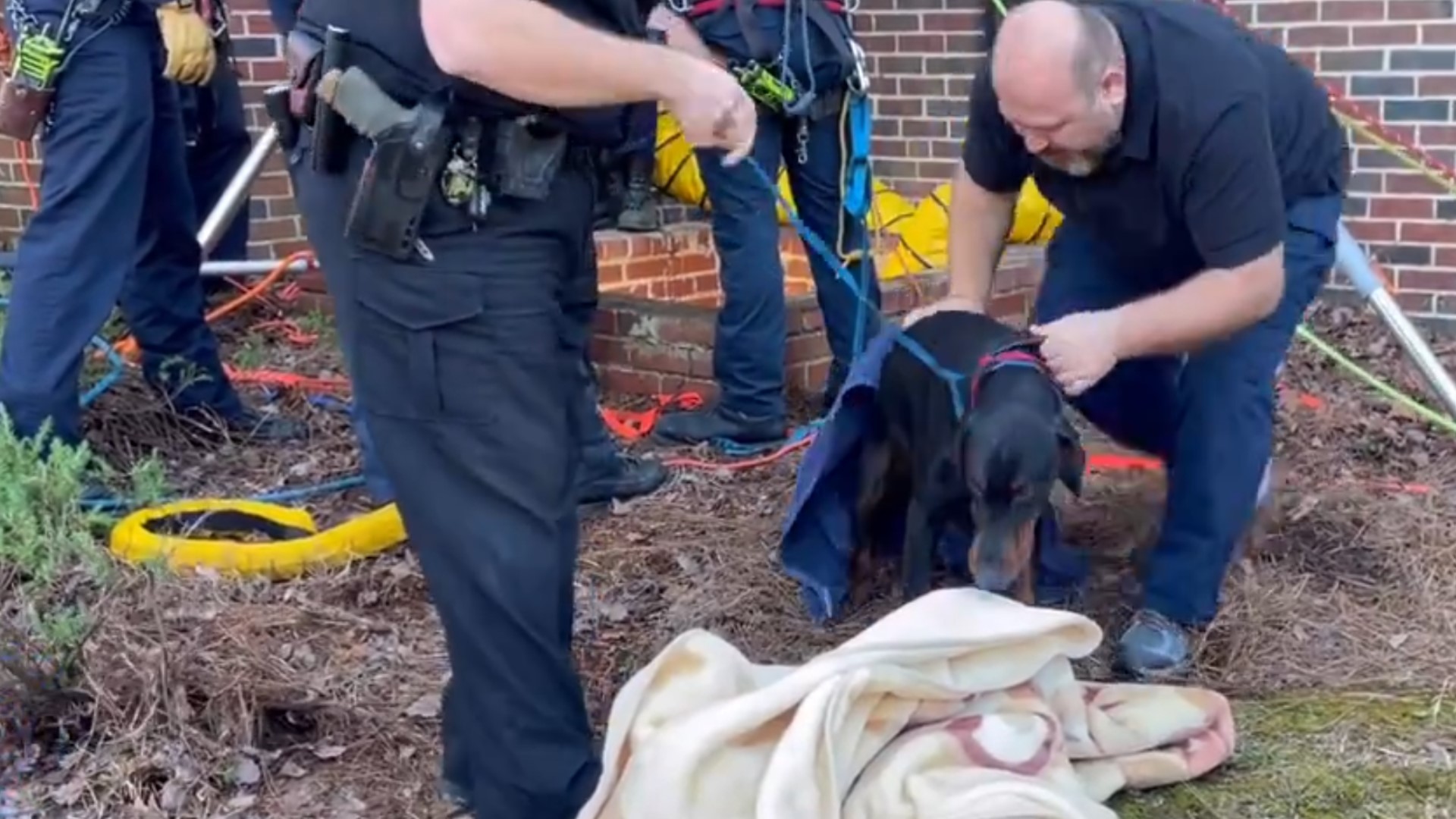 Dog rescued from well in Winston-Salem | wfmynews2.com