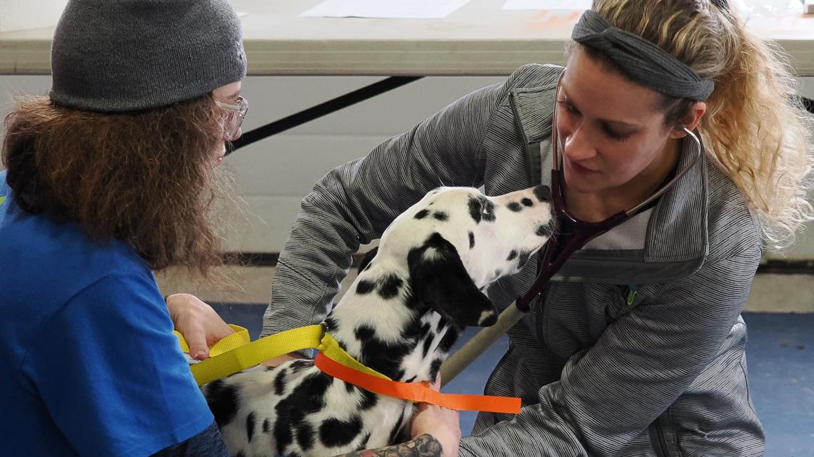 Forsyth Humane Society aids in rescuing 200 dogs - Vimarsana News