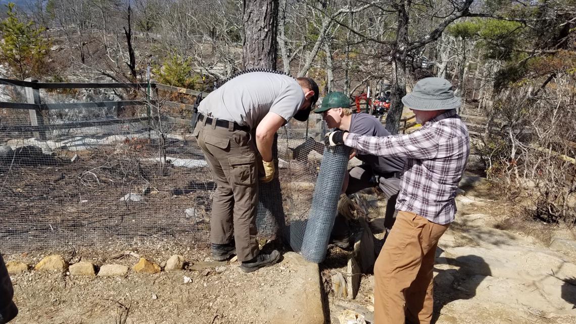 New Pilot Mountain wildfire update