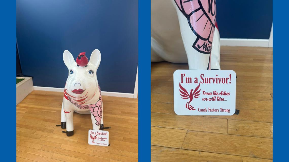 Lexington's 'Miss Puffy' the pig survives fire that destroyed The Candy Factory