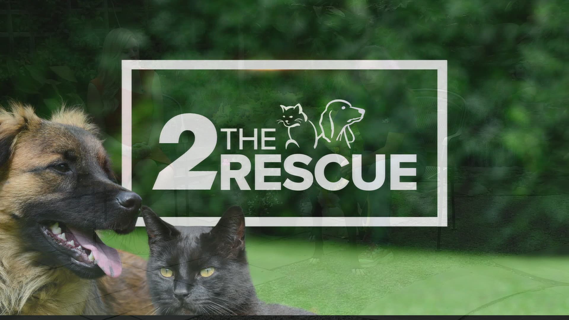2 The Rescue: Leo