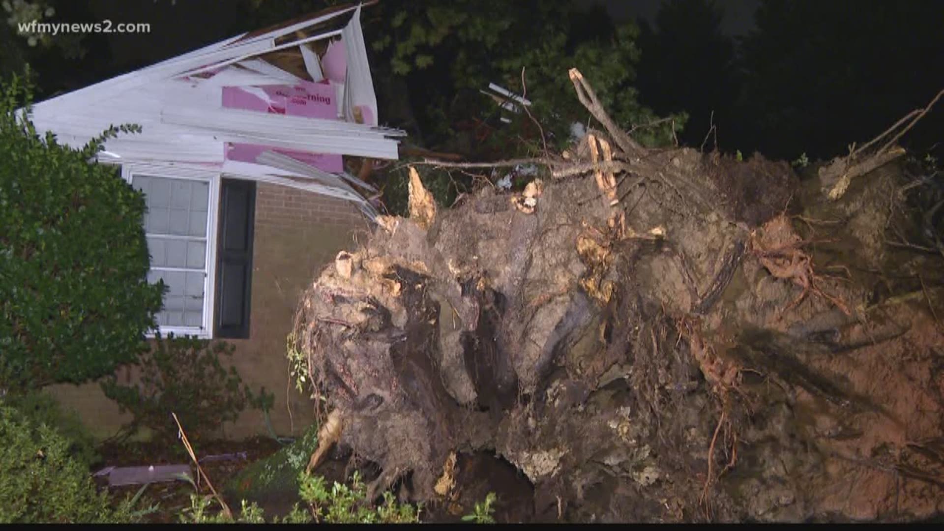 The couple who lives there pulled up to the house only to see a massive tree sticking out the side.