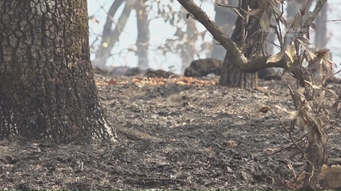 North Carolina burn ban affects Triad events as wildfire risk grows; violations can bring fines