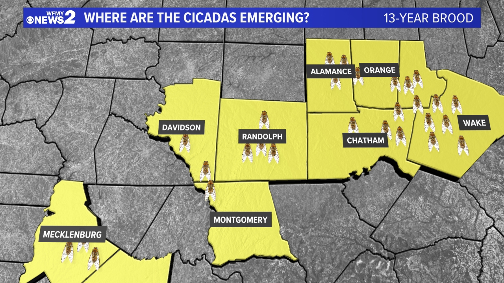 After a lot of talk, the cicadas are finally here - but only in parts of the Carolinas. Tim Buckley has an update.
