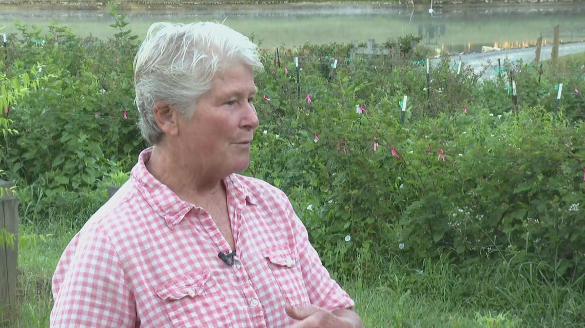Triad Farmer says Recent Rain is Helping, but Drought Challenges Remain