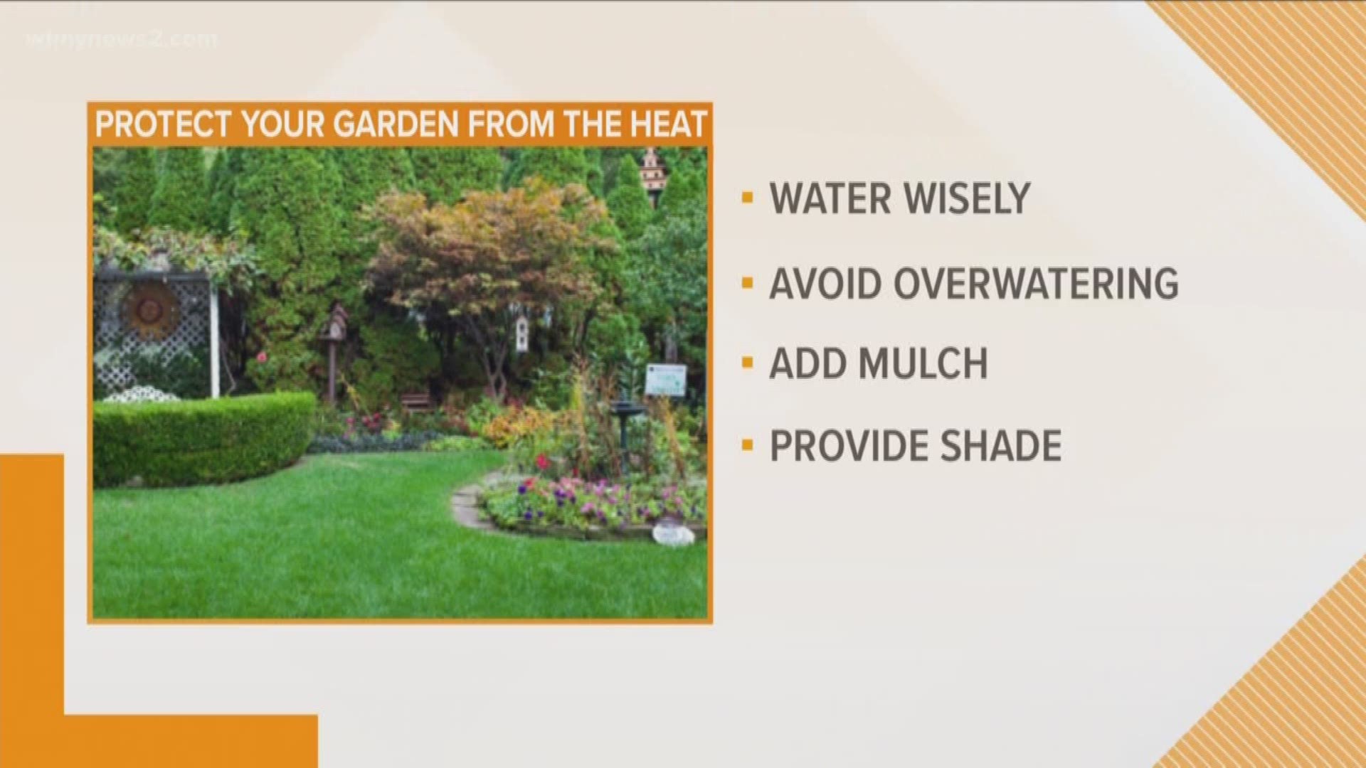 Ways Your Garden Can Beat The Summer Heat