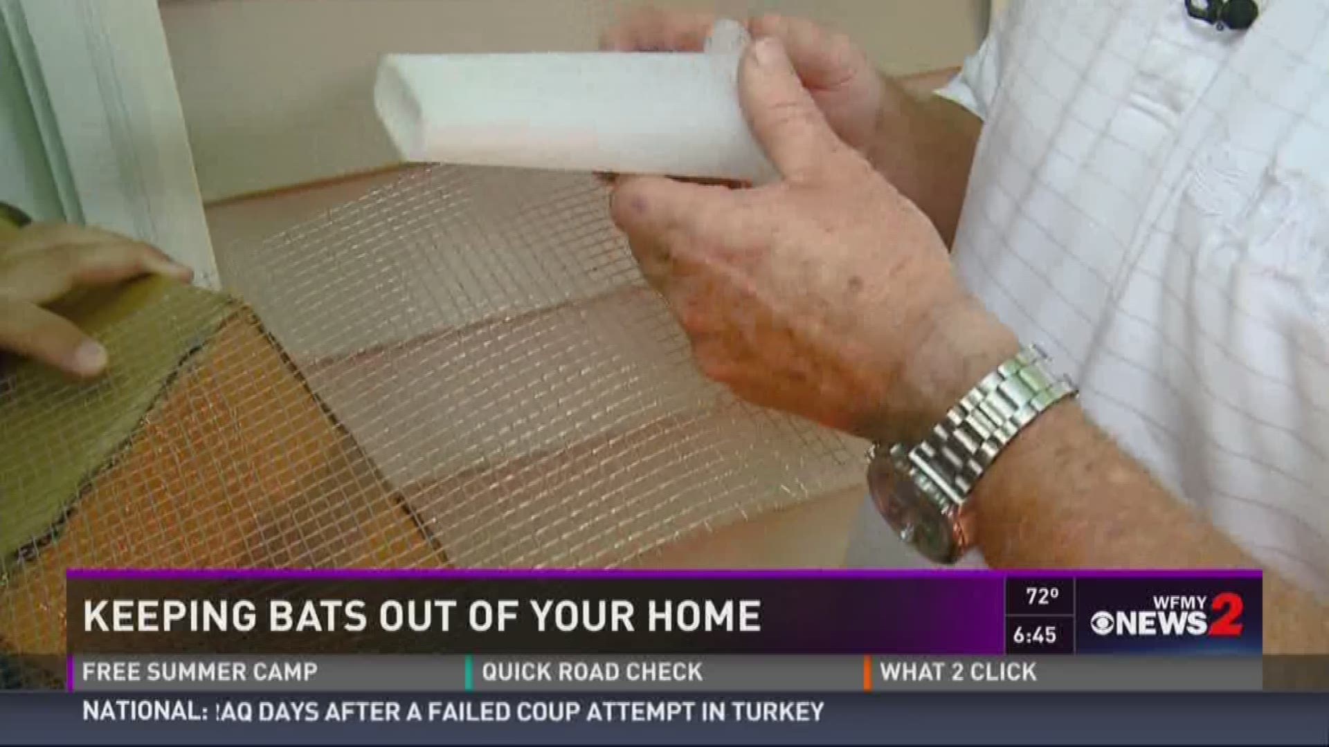 tips-how-to-keep-bats-from-nesting-in-your-home-wfmynews2