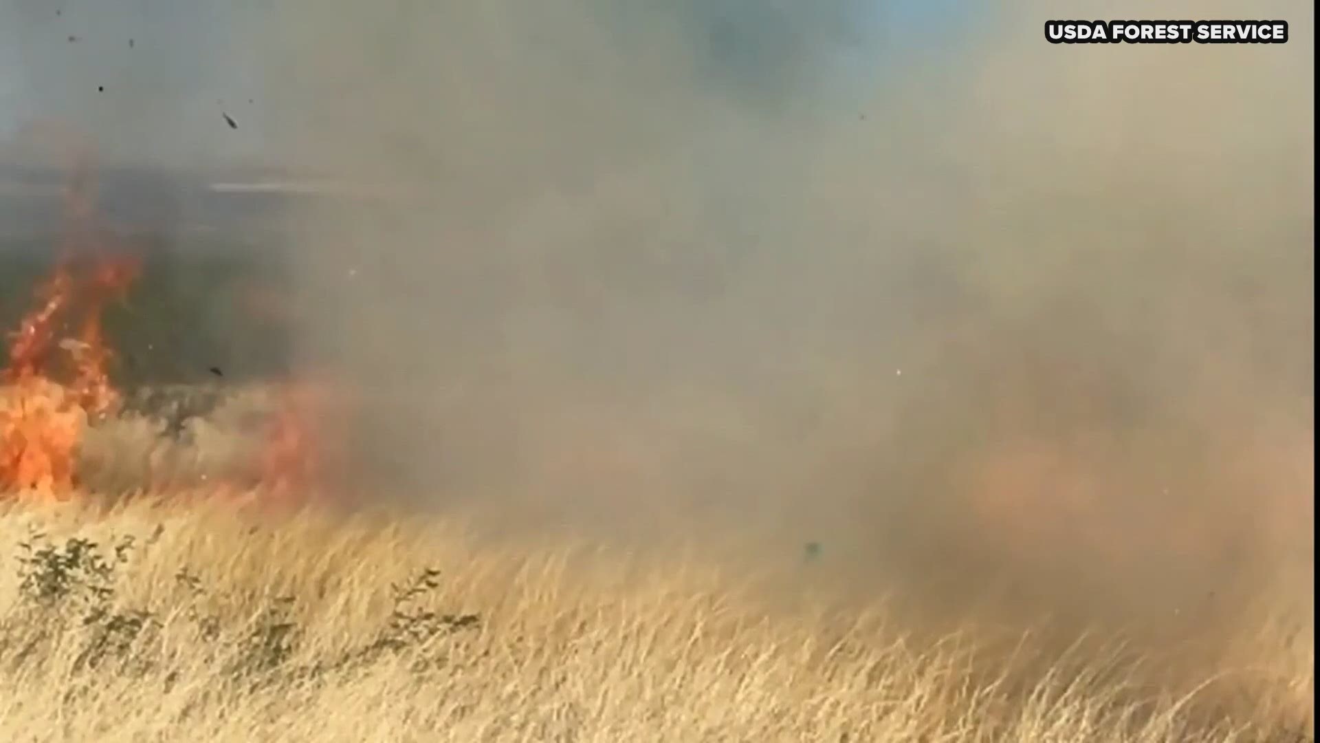 This gender reveal party cost the State of Arizona over $8 million. In September, off-duty Border Patrol agent Dennis Dickey, plead guilty to starting the Sawmill Fire. The video was released by the USDA Forest Service.