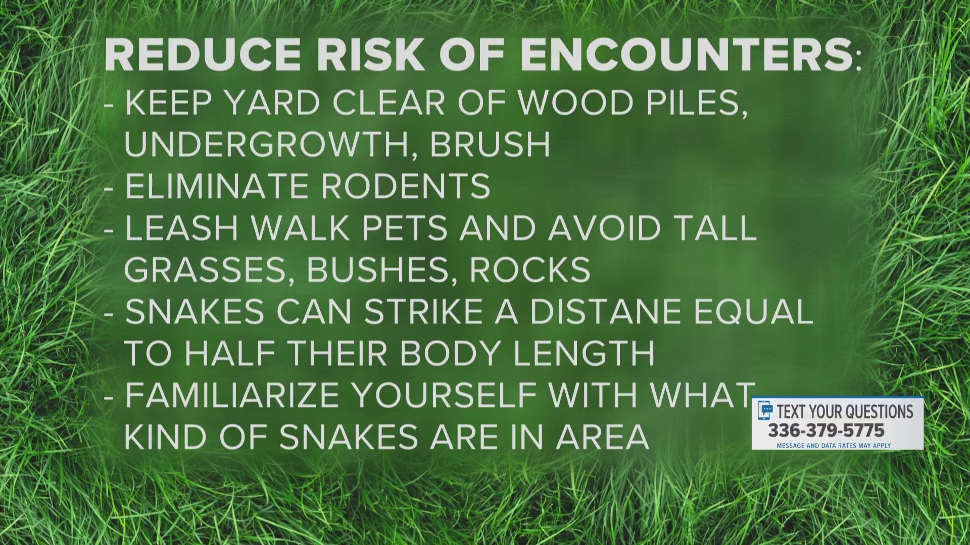 Snake bites occur most often between March and October when snakes are most active.