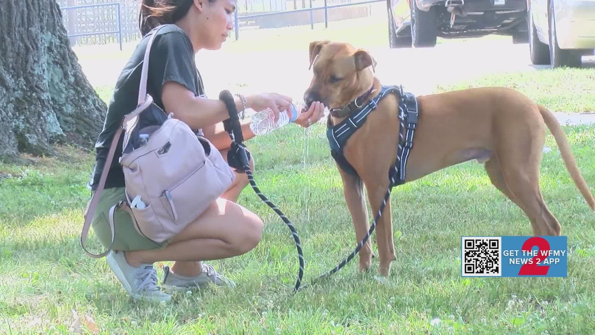 Experts recommend taking shorter walks and using the grass instead of pavement.